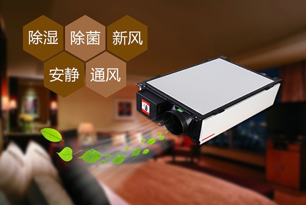 如何預防辦公室裝修后的防潮問題？