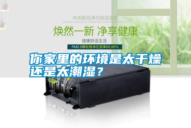 你家里的環境是太干燥還是太潮濕？