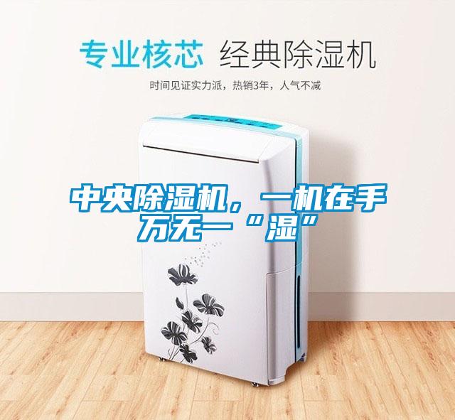 中央除濕機，一機在手萬無一“濕”