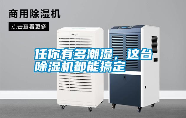 任你有多潮濕，這臺除濕機都能搞定