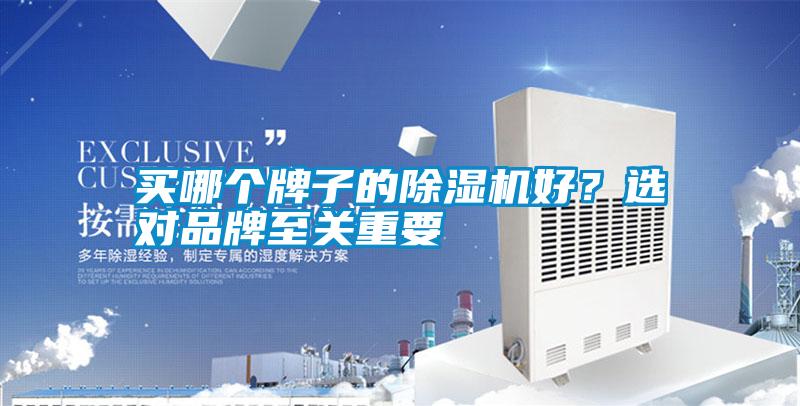 買哪個牌子的除濕機好？選對品牌至關重要