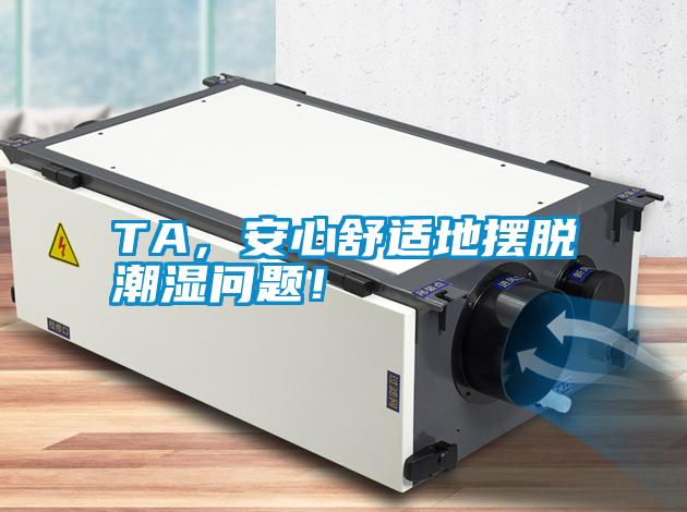 TA，安心舒適地擺脫潮濕問題！