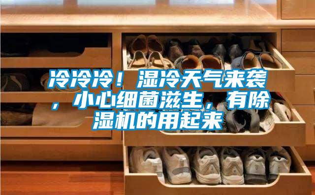 冷冷冷！濕冷天氣來襲，小心細菌滋生，有除濕機的用起來