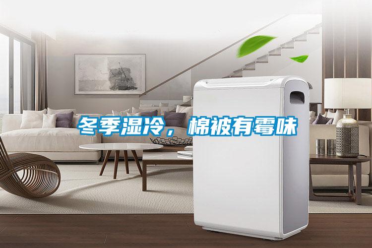 冬季濕冷，棉被有霉味