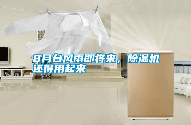 8月臺風雨即將來，除濕機還得用起來