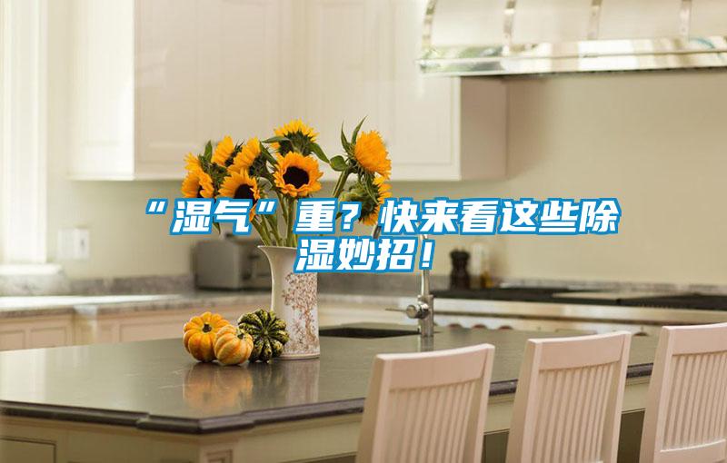 “濕氣”重？快來看這些除濕妙招！