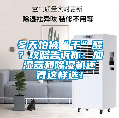 冬天怕被“干”醒？攻略告訴你：加濕器和除濕機還得這樣選！