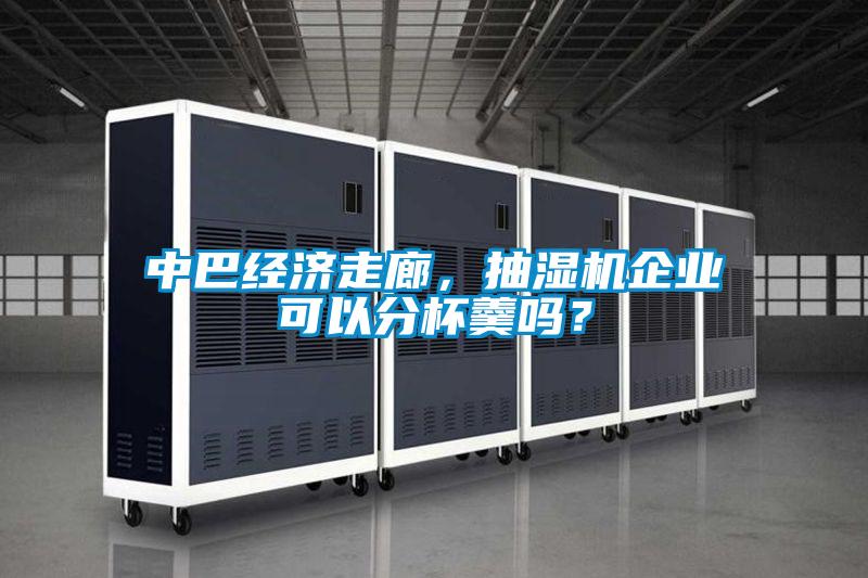 中巴經濟走廊，抽濕機企業可以分杯羹嗎？