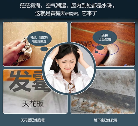 除濕機的自動除霜裝置