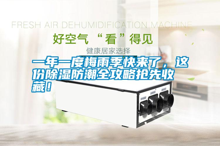 一年一度梅雨季快來了，這份除濕防潮全攻略搶先收藏！