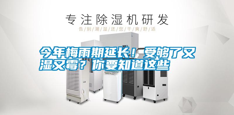 今年梅雨期延長！受夠了又濕又霉？你要知道這些
