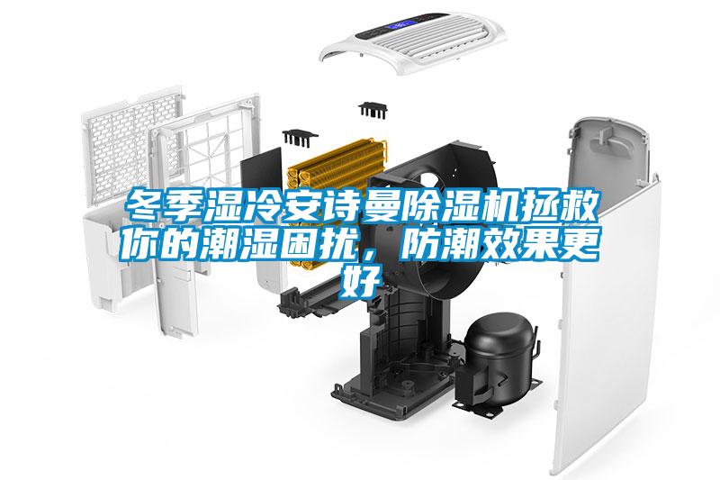 冬季濕冷安詩曼除濕機拯救你的潮濕困擾，防潮效果更好