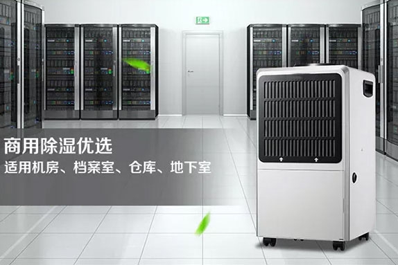 總算可以別再問我關于地下室除濕的頭疼事了， 收藏這篇文章一勞永逸