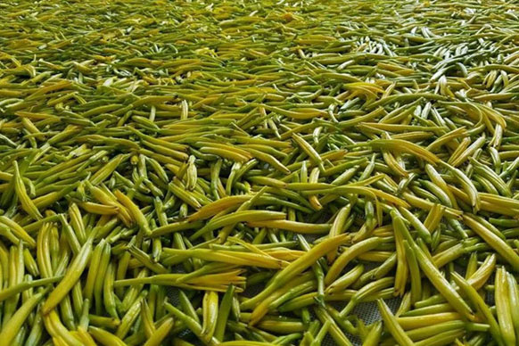 無硫金針菜烘干如何保持品相？不發黑？