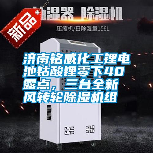濟南銘威化工鋰電池鈷酸鋰零下40℃露點，三臺全新風轉輪除濕機組