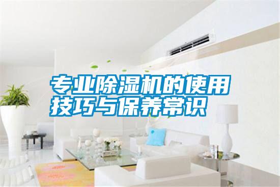 專業除濕機的使用技巧與保養常識
