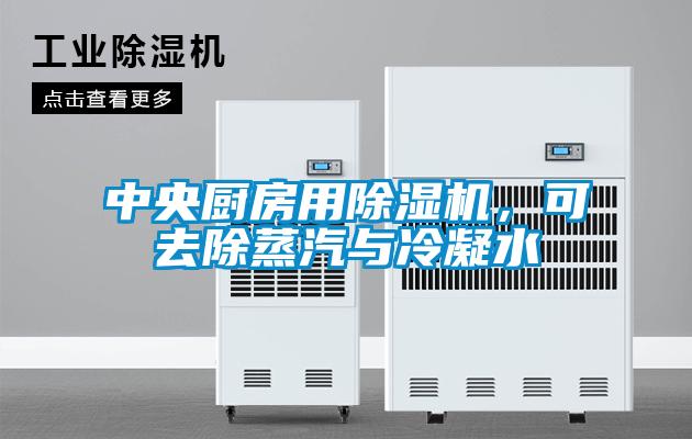 中央廚房用除濕機，可去除蒸汽與冷凝水