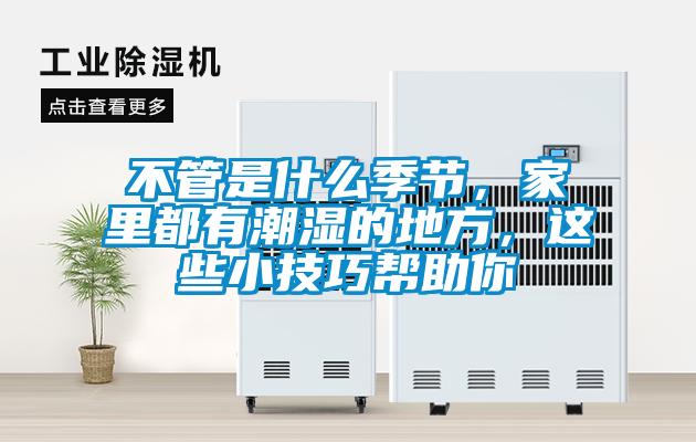 不管是什么季節，家里都有潮濕的地方，這些小技巧幫助你