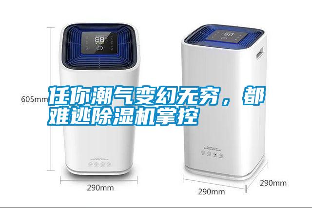 任你潮氣變幻無窮，都難逃除濕機掌控