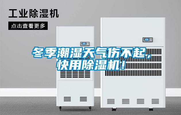 冬季潮濕天氣傷不起，快用除濕機！