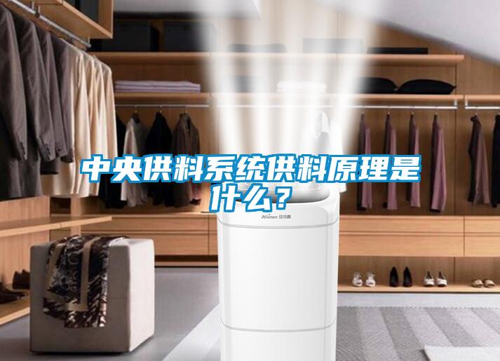 中央供料系統供料原理是什么？
