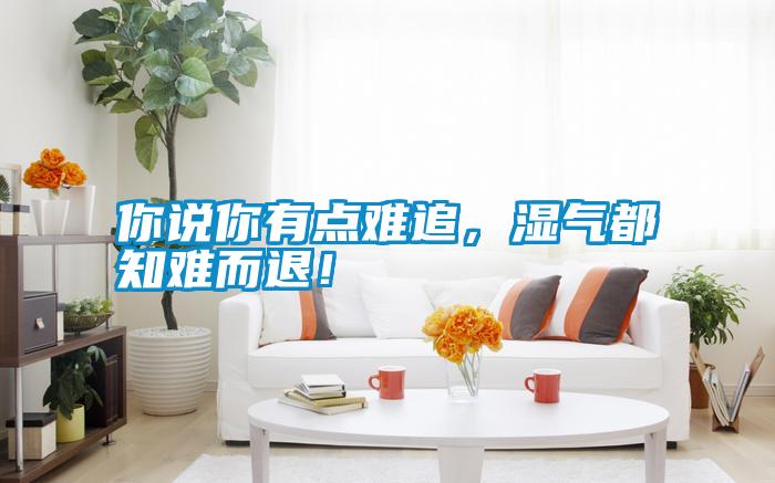 你說你有點難追，濕氣都知難而退！