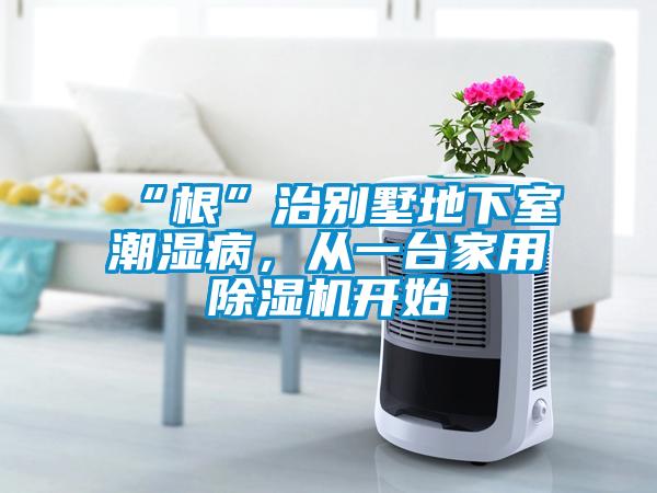 “根”治別墅地下室潮濕病，從一臺家用除濕機開始