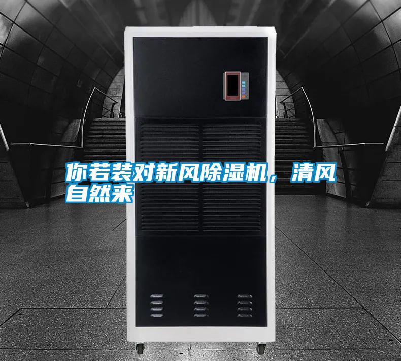 你若裝對新風除濕機，清風自然來