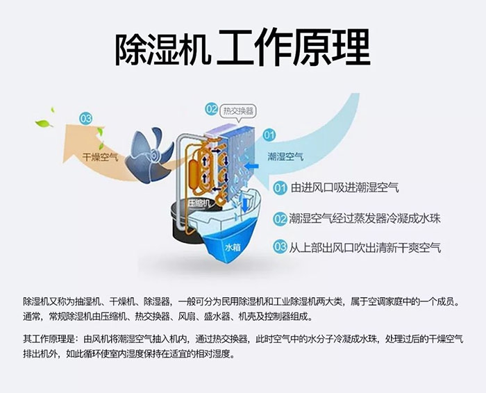 對抗梅雨天，絕不認輸！