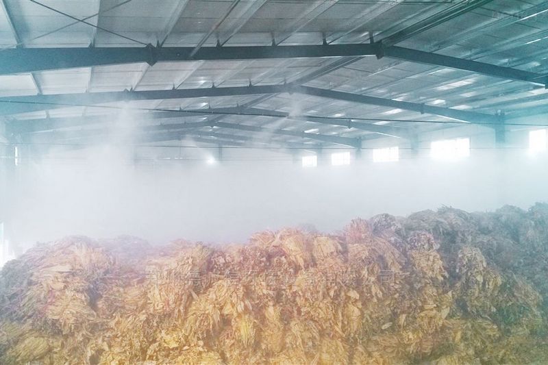 提升煙葉加工質量，高效回潮很重要