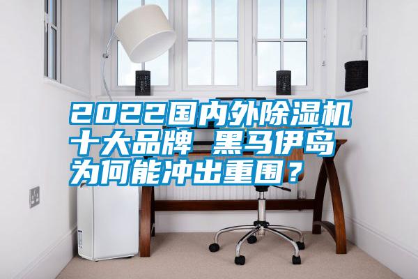 2022國內外除濕機十大品牌 黑馬伊島為何能沖出重圍？