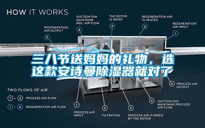 三八節送媽媽的禮物，選這款安詩曼除濕器就對了
