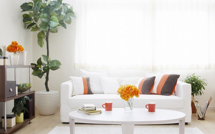 地下室如何解決潮濕、發霉？這套好系統我不允許有人不知道