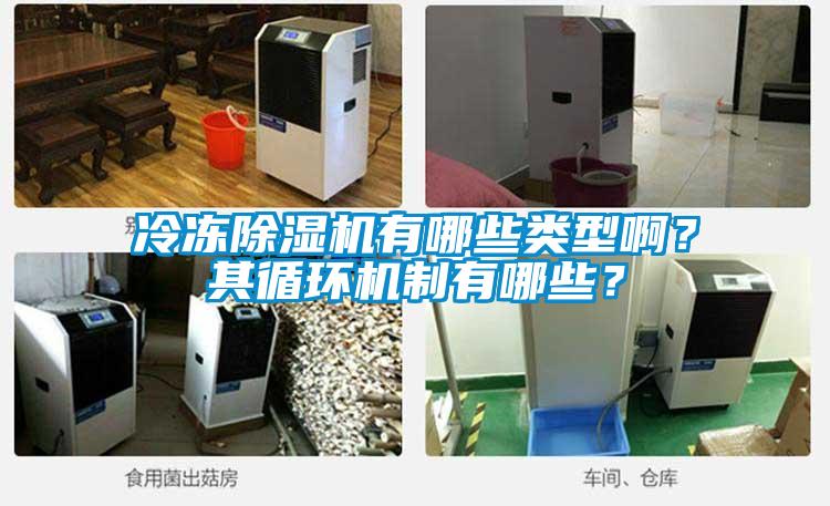 冷凍除濕機有哪些類型啊？其循環機制有哪些？