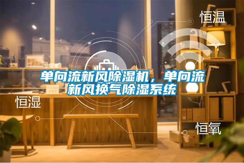 單向流新風除濕機，單向流新風換氣除濕系統