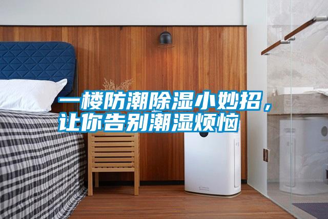 一樓防潮除濕小妙招，讓你告別潮濕煩惱