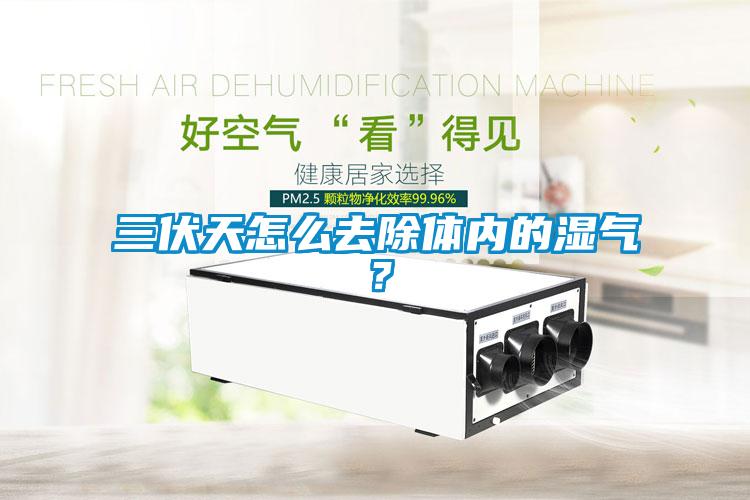 三伏天怎么去除體內的濕氣？