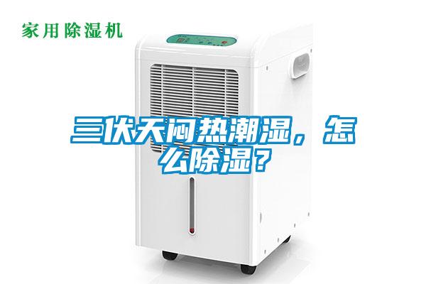 三伏天悶熱潮濕，怎么除濕？