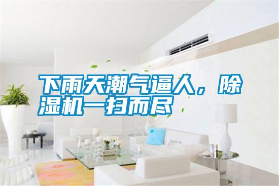 下雨天潮氣逼人，除濕機一掃而盡