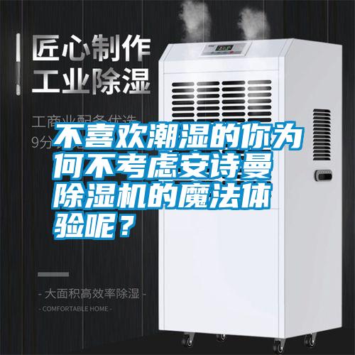 不喜歡潮濕的你為何不考慮安詩曼除濕機的魔法體驗呢？