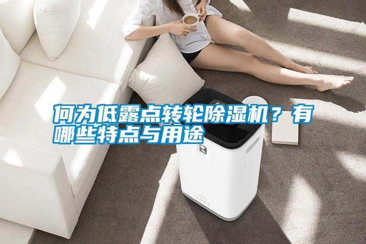 何為低露點轉輪除濕機？有哪些特點與用途