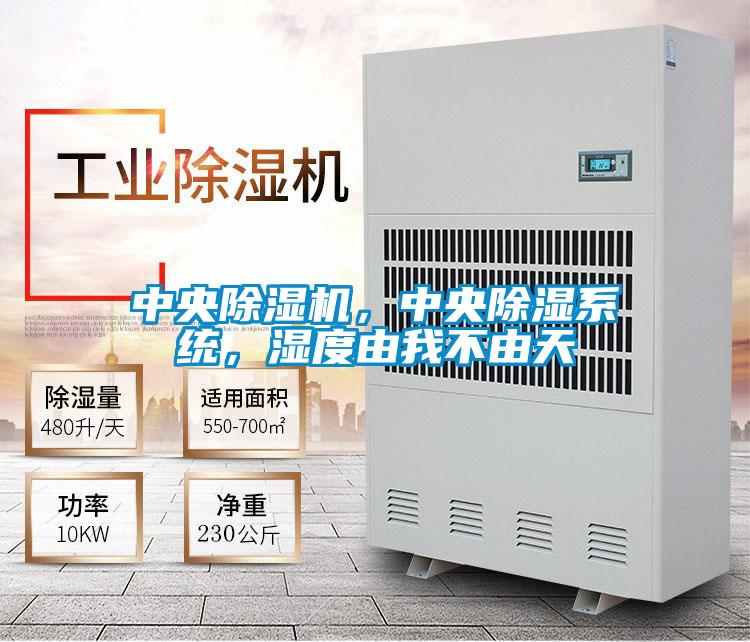 中央除濕機，中央除濕系統，濕度由我不由天