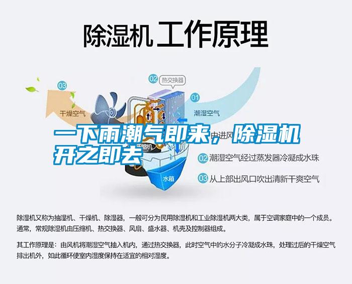 一下雨潮氣即來，除濕機開之即去