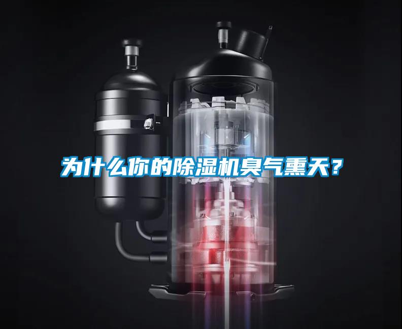 為什么你的除濕機臭氣熏天？