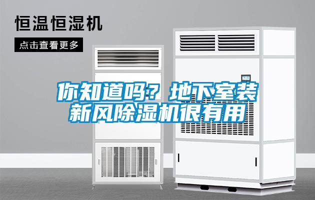 你知道嗎？地下室裝新風除濕機很有用