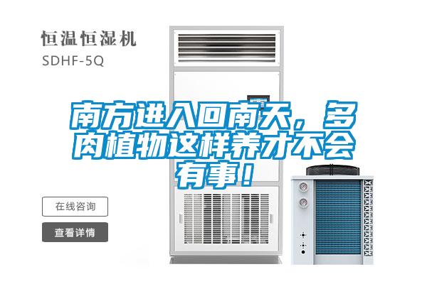 南方進入回南天，多肉植物這樣養才不會有事！