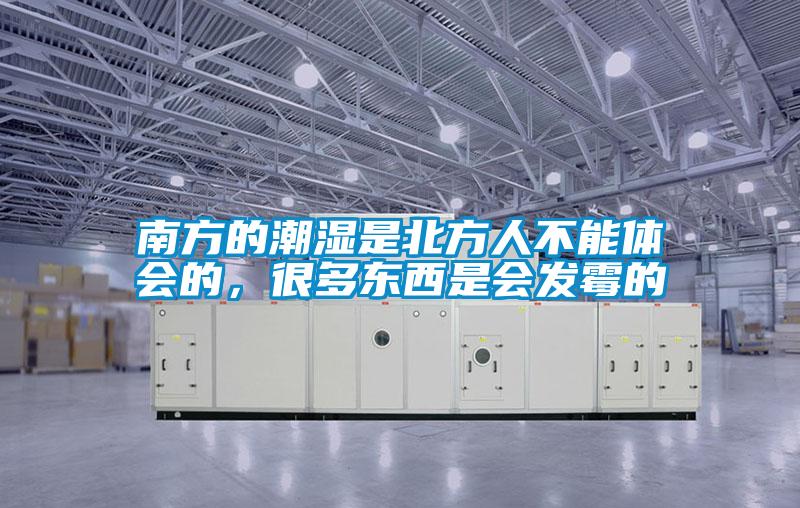 南方的潮濕是北方人不能體會的，很多東西是會發霉的