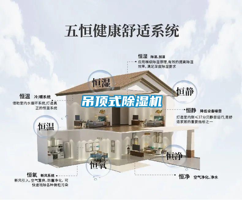 吊頂式除濕機