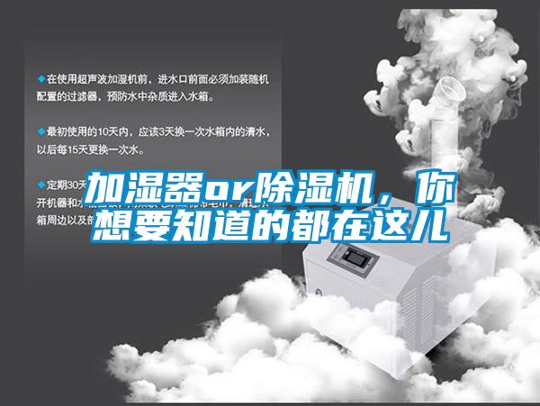 加濕器or除濕機，你想要知道的都在這兒