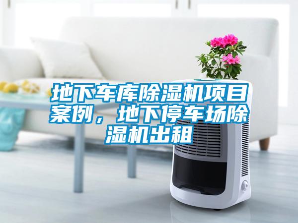 地下車庫除濕機項目案例，地下停車場除濕機出租